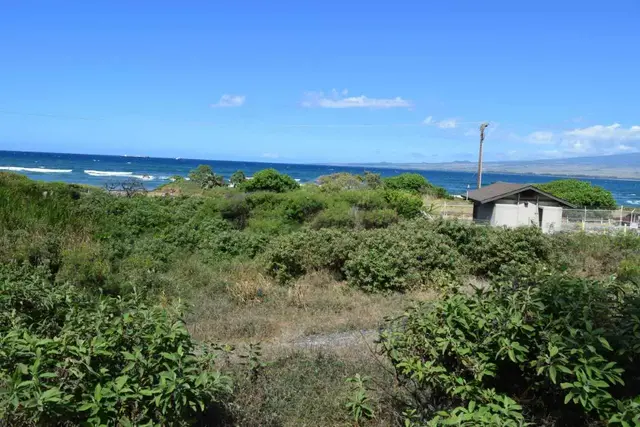 Listing Image for 920 Akake St 10 of 25