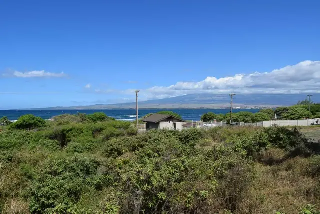 Listing Image for 920 Akake St 14 of 25