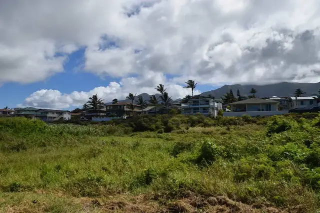 Listing Image for 920 Akake St 16 of 25