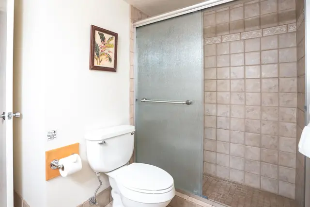 Listing Image for 2695 S Kihei Rd 4408 25 of 39