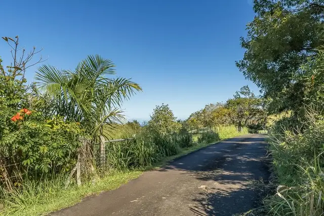 Listing Image for 859 Hog Back Rd C 13 of 17