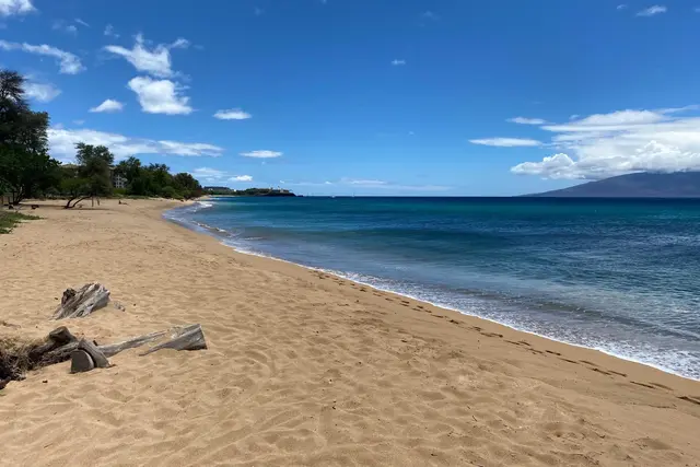 Listing Image for 130 Kai Malina Pkwy Sr305 38 of 43