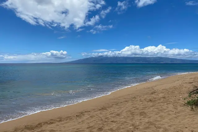 Listing Image for 130 Kai Malina Pkwy Sr305 39 of 43