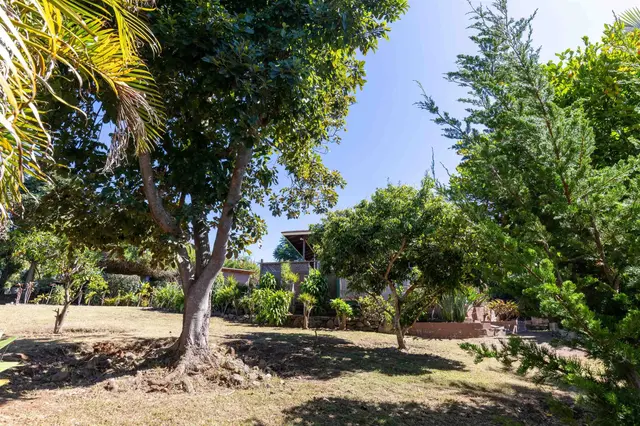 Listing Image for 77 Kahoea Pl 32 of 44