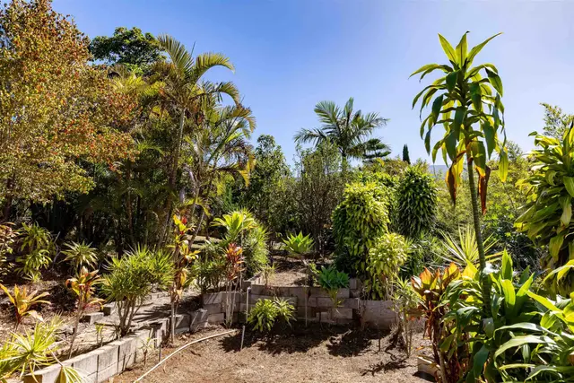 Listing Image for 77 Kahoea Pl 33 of 44