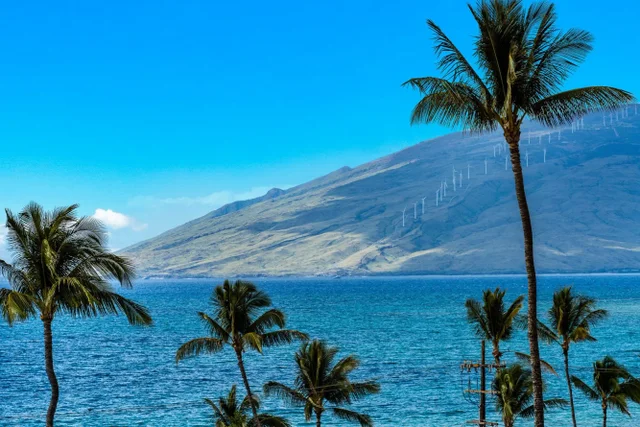 Listing Image for 2385 S Kihei Rd 506 25 of 38