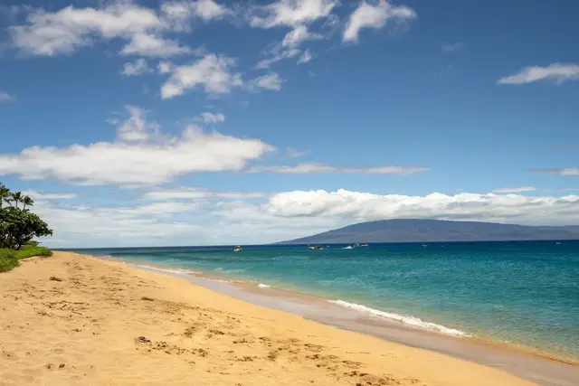 Listing Image for 2481 Kaanapali Pkwy 157y 8 of 18