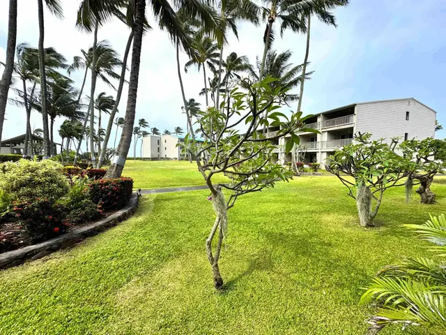 Listing Image for 7146 Kamehameha V Hwy C110 14 of 22