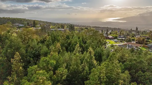 Listing Image for 1 Haleakala Hwy 11 of 17