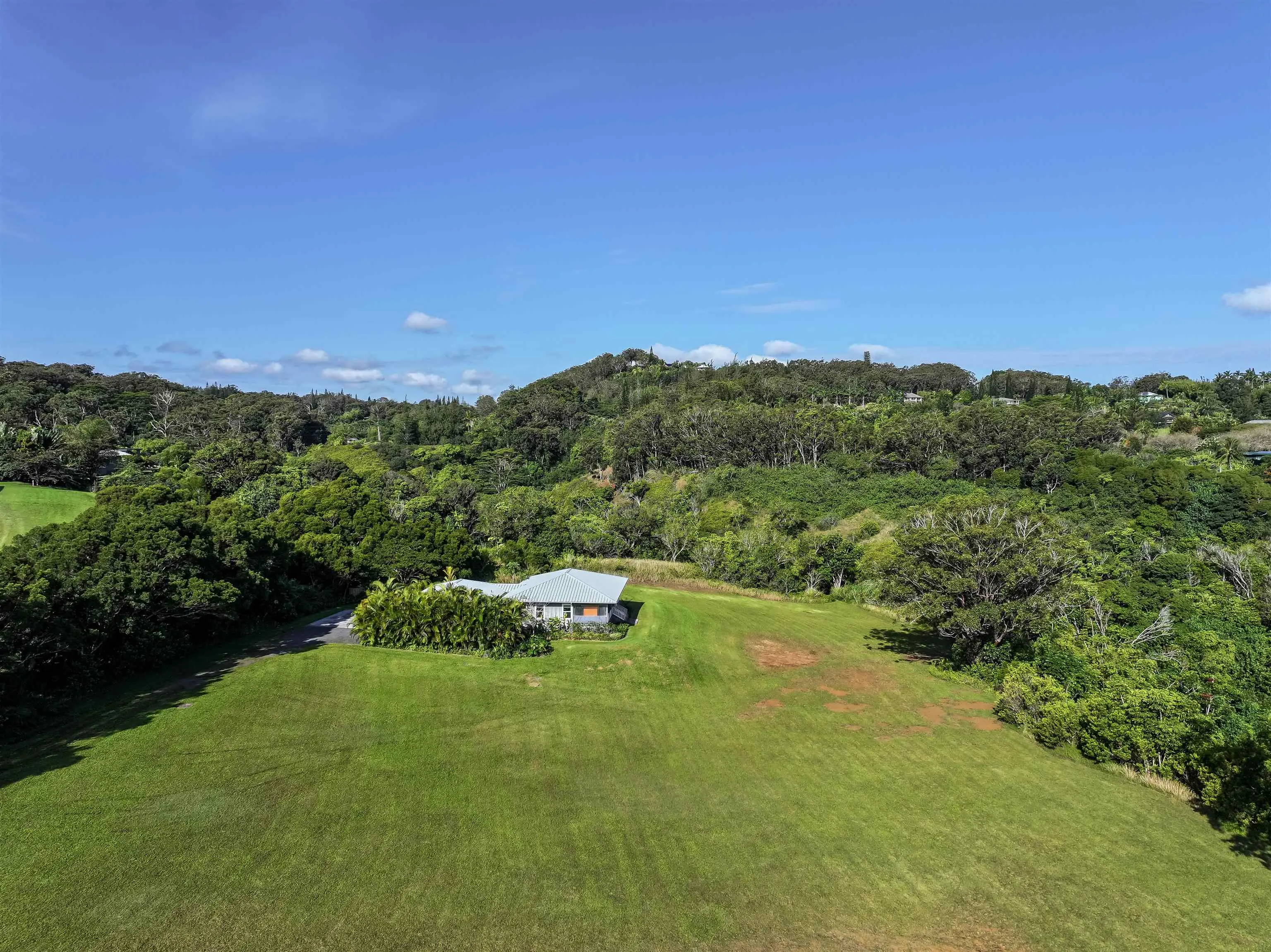 Photo of Listing #408255