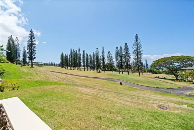 Listing Image for 500 Kapalua Dr 25 P 3-4 35 of 50