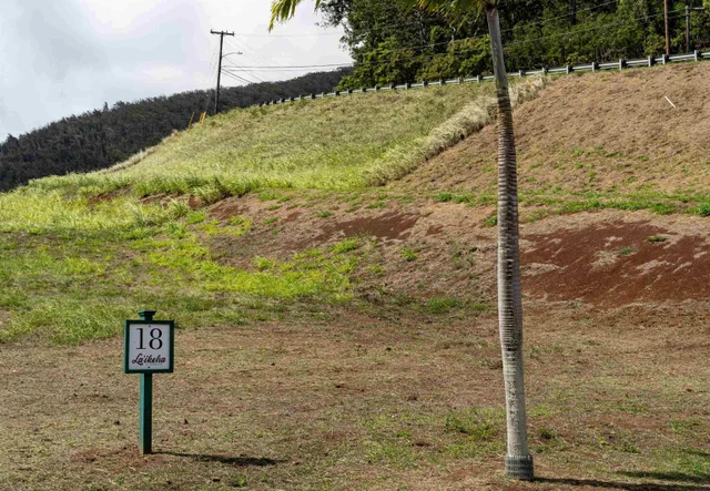 Listing Image for 20 N Laikeha Pl 18 6 of 12