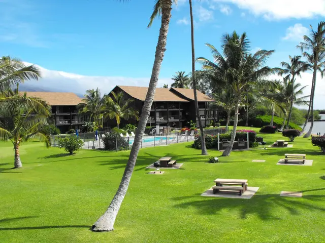 Listing Image for 1000 Kamehameha V Hwy 319b 16 of 27