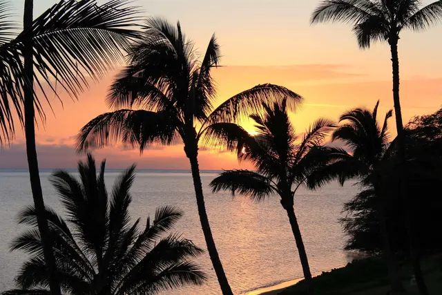 Listing Image for 1000 Kamehameha V Hwy 319b 22 of 27
