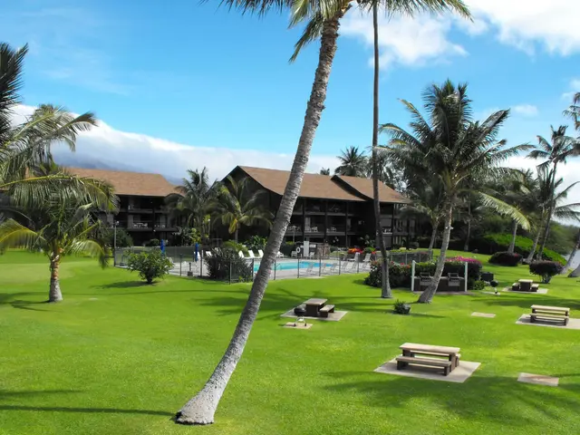 Listing Image for 1000 Kamehameha V Hwy 319b 23 of 27