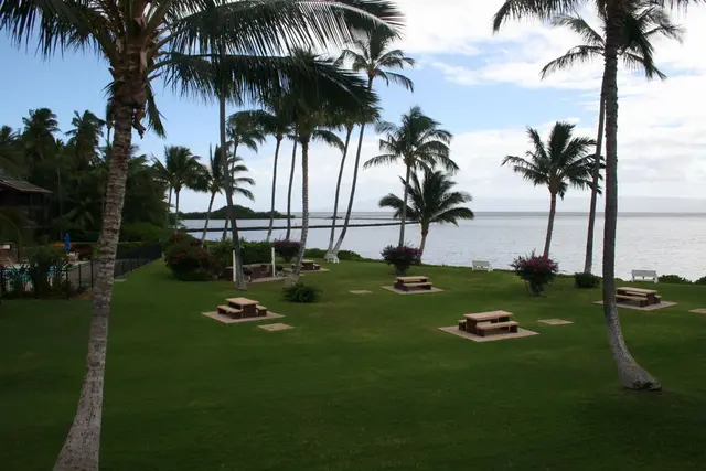 Listing Image for 1000 Kamehameha V Hwy 319b 26 of 27