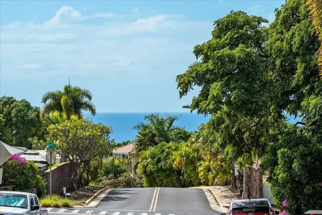 Listing Image for 219 Hoohale Pl 42 of 42