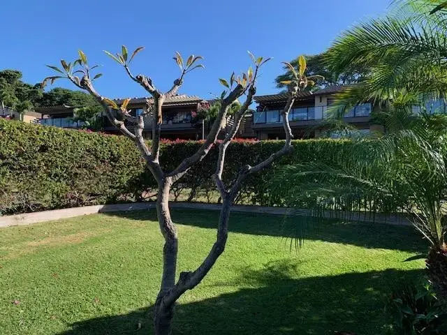 Listing Image for 3600 Wailea Alanui Dr 2201 5 of 50