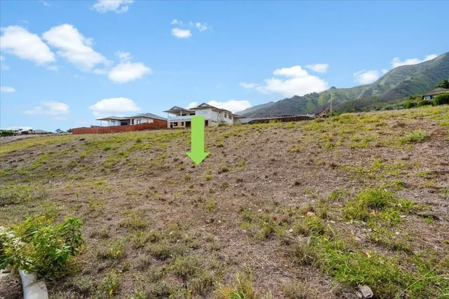 Listing Image for 117 Hopo'i Pl 19 of 24