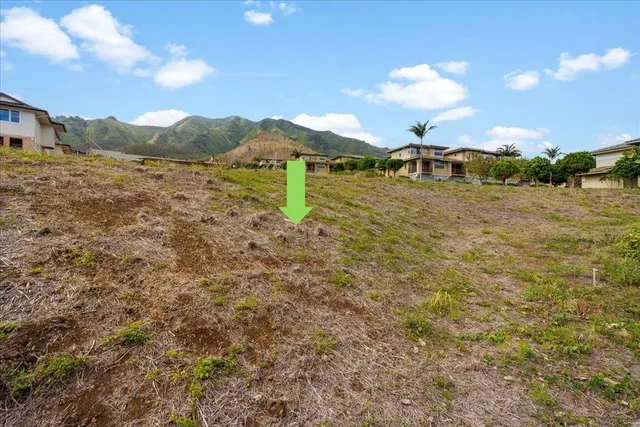 Listing Image for 117 Hopo'i Pl 24 of 24