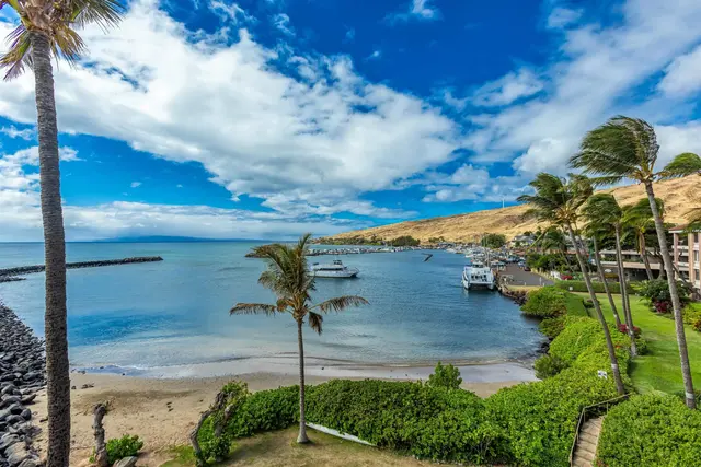 Listing Image for 50 Hauoli St 410 1 of 41