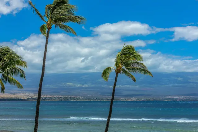 Listing Image for 50 Hauoli St 410 29 of 41