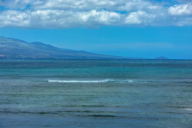 Listing Image for 50 Hauoli St 410 31 of 41