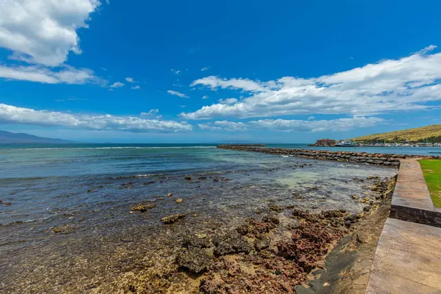 Listing Image for 50 Hauoli St 410 35 of 41