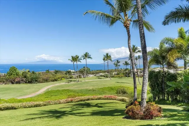 Listing Image for 3950 Kalai Waa St D-103 30 of 38