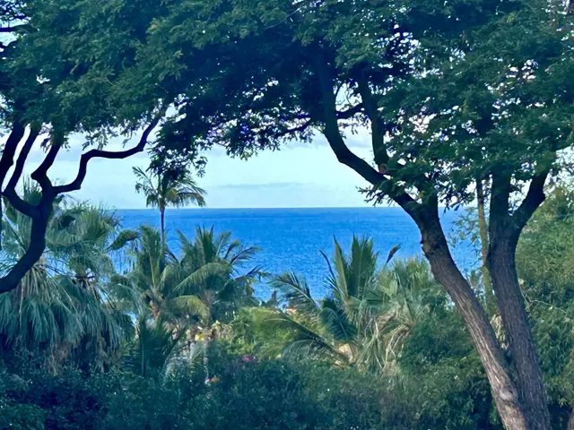Listing Image for 72 Kai Malu Dr 13a 6 of 9