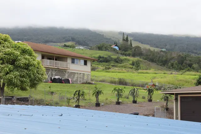 Listing Image for 54 Keanuhea St 24 of 42