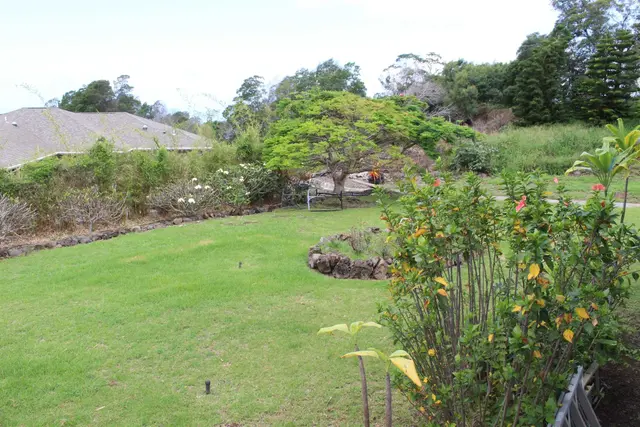 Listing Image for 54 Keanuhea St 25 of 42
