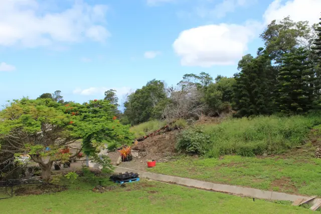 Listing Image for 54 Keanuhea St 32 of 42