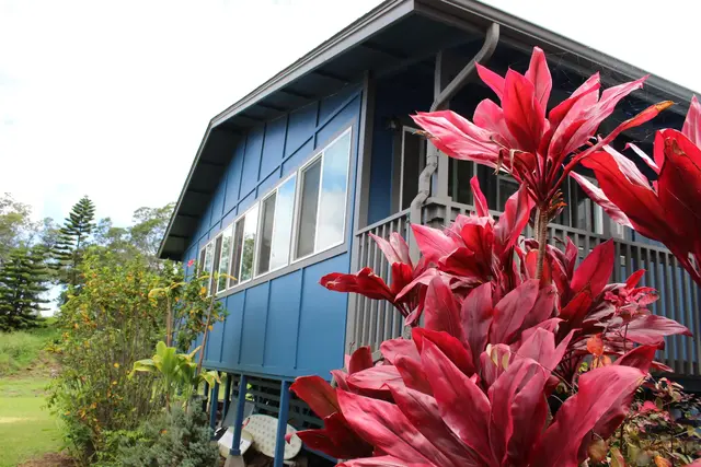 Listing Image for 54 Keanuhea St 39 of 42