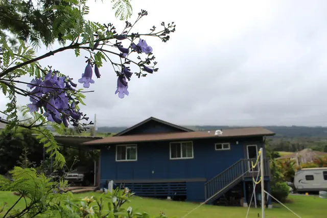 Listing Image for 54 Keanuhea St 40 of 42