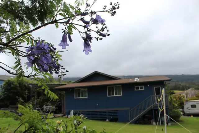 Listing Image for 54 Keanuhea St 41 of 42