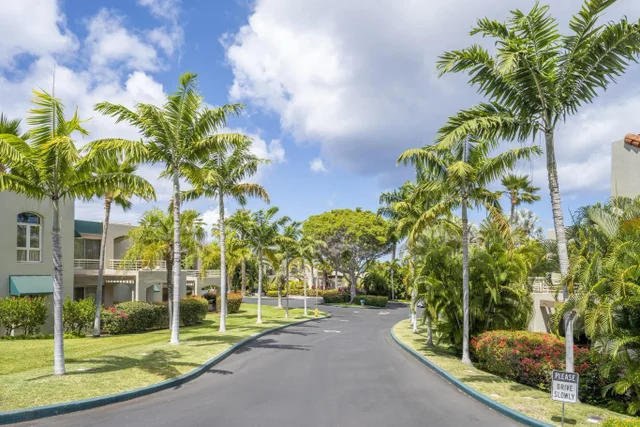 Listing Image for 3200 Wailea Alanui Dr 1406 39 of 45