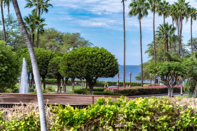 Listing Image for 2695 S Kihei Rd 2-102 19 of 35