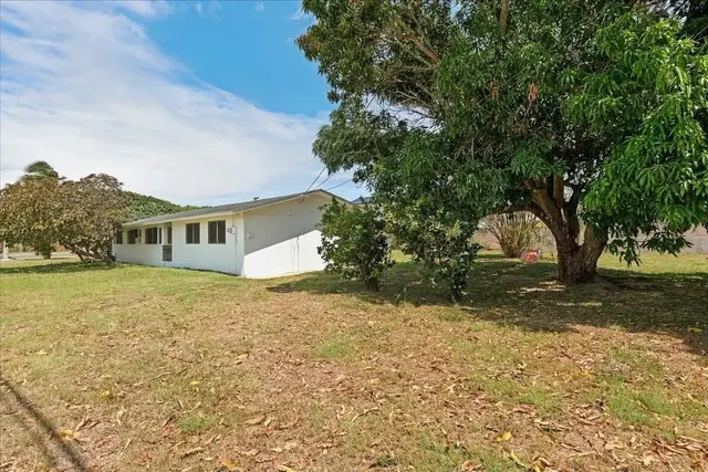 Listing Image for 461 Lono Ave 18 of 21