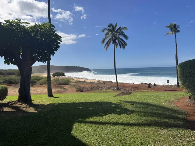Listing Image for 50 Kepuhi Pl 122 40 of 40