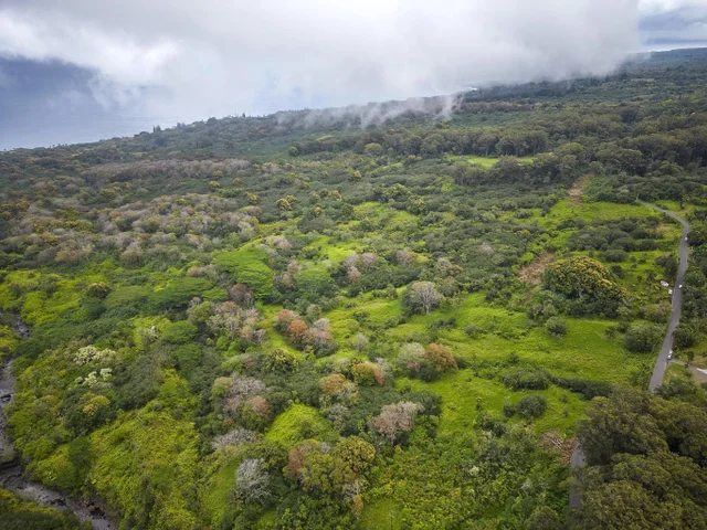 Listing Image for Lot 20 Hana Hwy 20 15 of 22