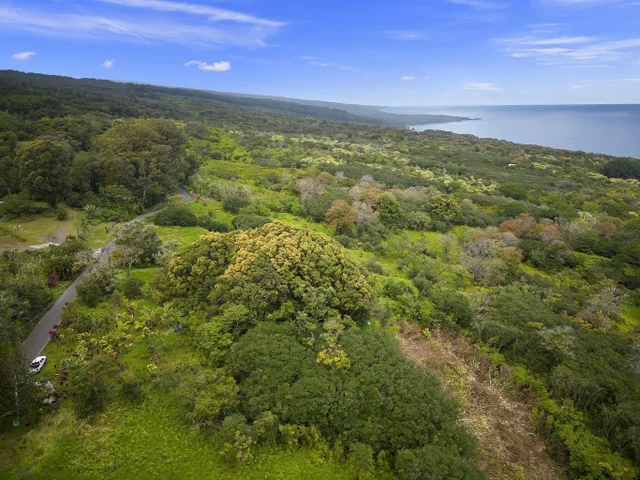 Listing Image for Lot 20 Hana Hwy 20 2 of 22