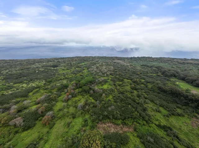 Listing Image for Lot 20 Hana Hwy 20 3 of 22