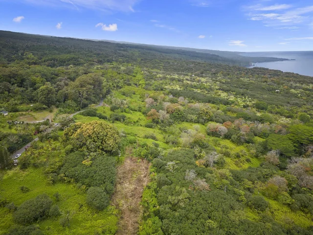 Listing Image for Lot 20 Hana Hwy 20 4 of 22