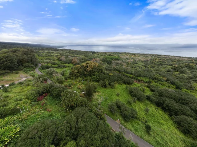 Listing Image for Lot 20 Hana Hwy 20 5 of 22