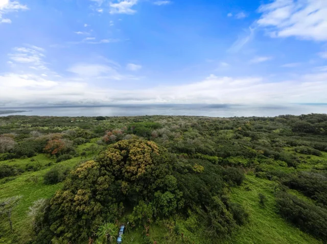 Listing Image for Lot 20 Hana Hwy 20 6 of 22