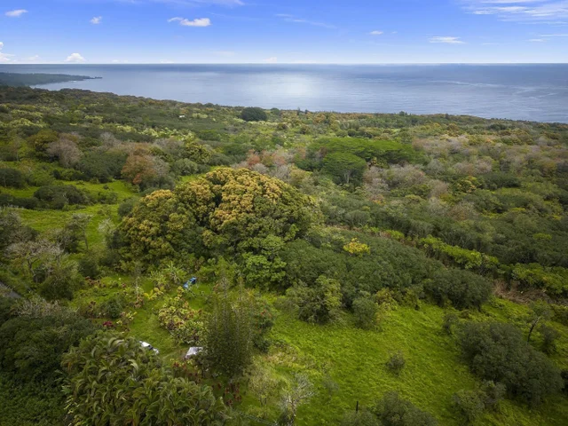 Listing Image for Lot 20 Hana Hwy 20 7 of 22