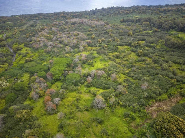 Listing Image for Lot 20 Hana Hwy 20 8 of 22