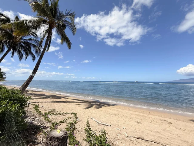 Listing Image for 475 Front St 308 34 of 40