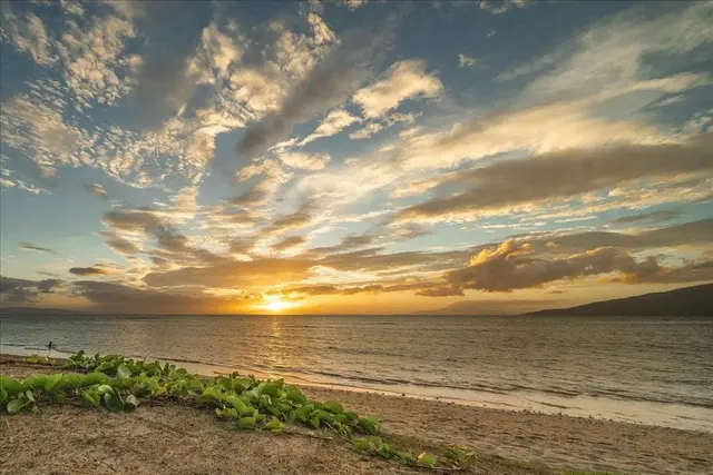 Listing Image for 940 S Kihei Rd B107 35 of 49